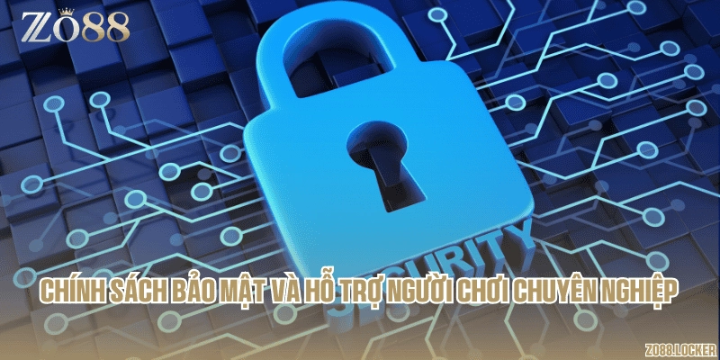 Chính sách bảo mật và hỗ trợ người chơi chuyên nghiệp